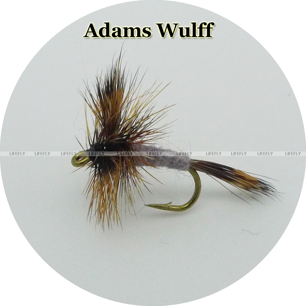 1 dozen adams wulff- ĸ, ۾, ö 